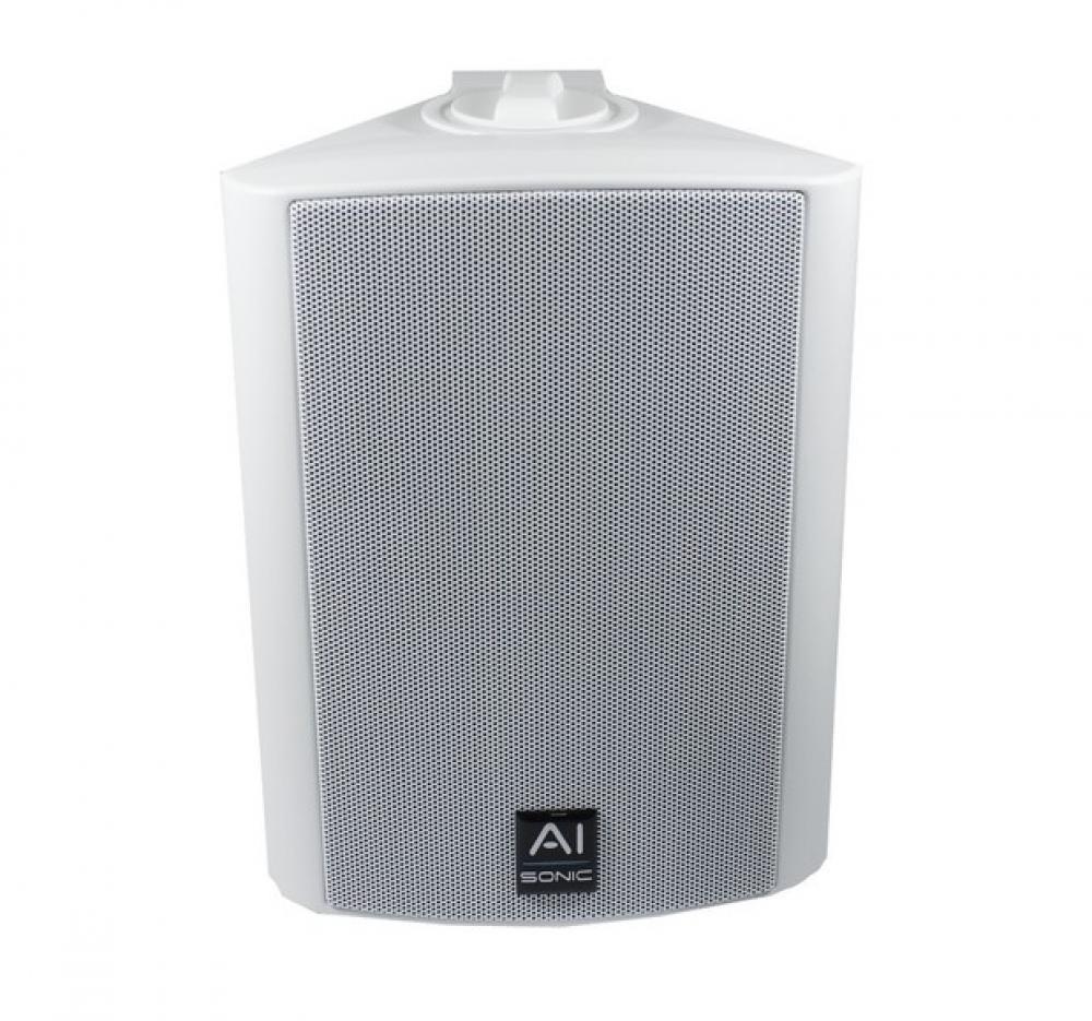 AI-Sonic OD-52W säänkestävä kotelokaiutin, pari
